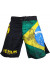 Venum Brazilian Flag Fightshorts Black