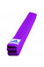 Adidas Club Belt, purple